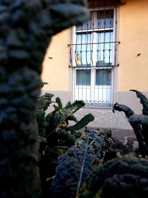Casasassi Apartamento Turim Exterior foto